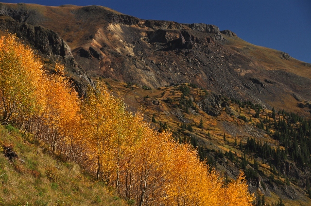 jeep tour to Brown Mountain